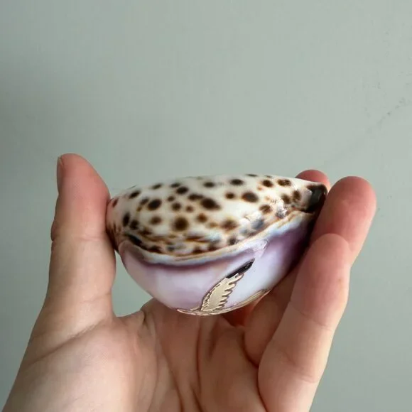 5/$25 💘 VTG Carved Shell With Seagull and Lighthouse - Picture 6 of 7